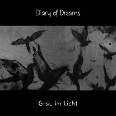 Diary Of Dreams - Grau im Licht