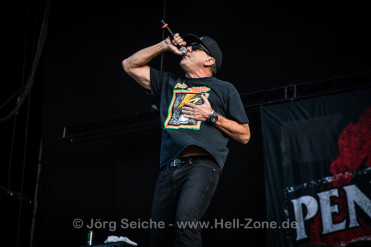 Pennywise Highfield 2019 Foto Jörg Seiche