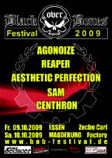 bob-festival-flyer.jpg bob-festival-flyer.jpg