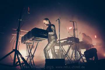 Kite live 2026-15