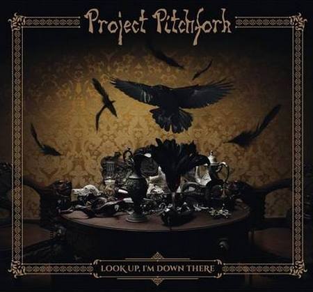 Project Pitchfork Album Look Up Im Down There