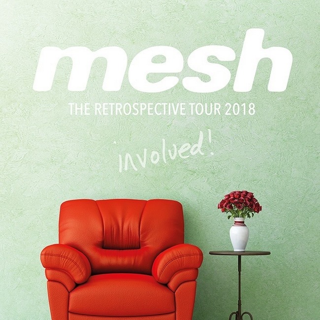 mesh involved retrospective tour 2018