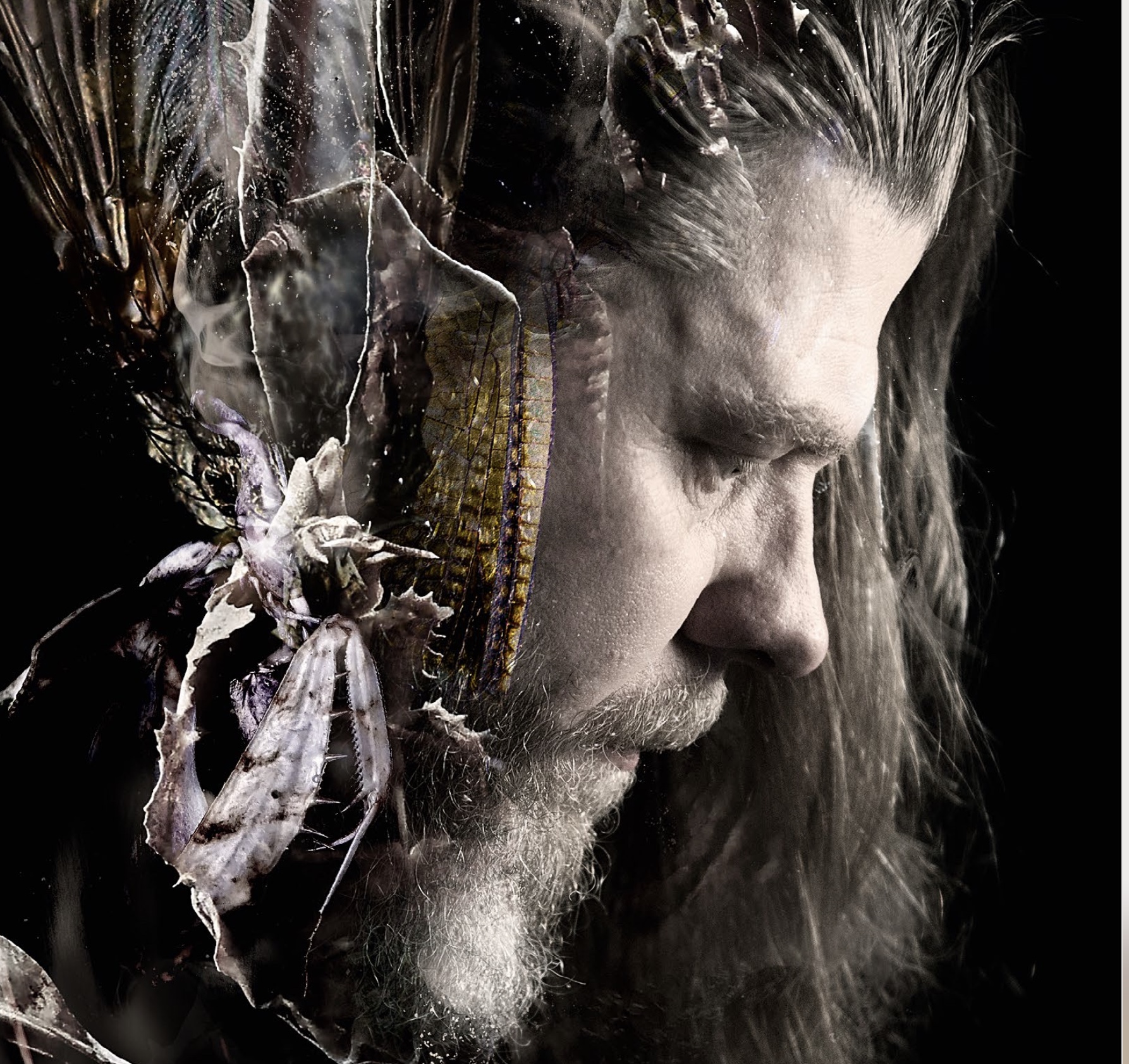 Adrian Hates von Diary of Dreams