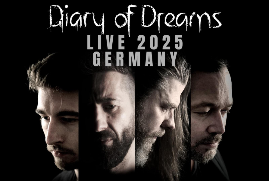 Diary Of Dreams Tour 2025