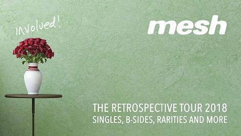 mesh_involved-retrospective-tour_2018