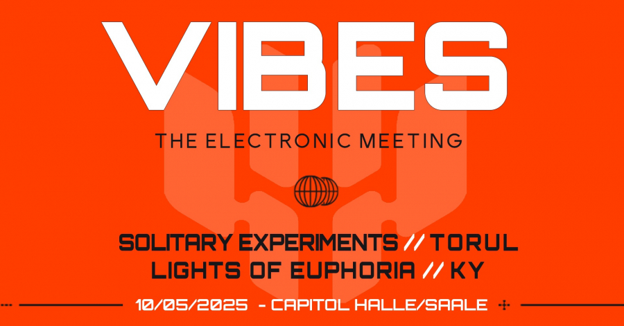 Vibes_-_The_Electronic_Meeting_2025_Bands
