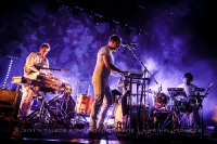 Caribou