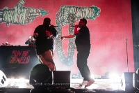 Run The Jewels