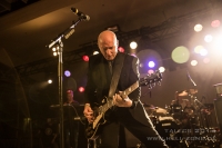 Midge Ure 12