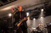 Midge Ure 8