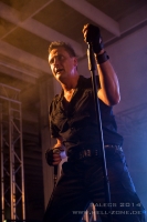 DIE KRUPPS 17