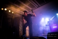 DIE KRUPPS 18