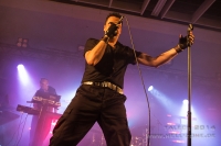 DIE KRUPPS 2