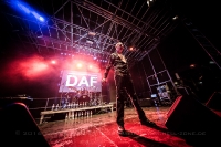 D.A.F Deutsch Amerikanische Freundschaft