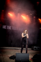 Me The Tiger