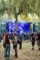Torul