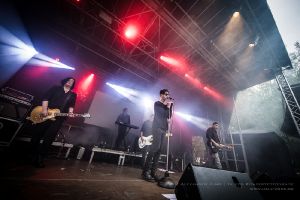 Golden Apes - Deutzen 2017