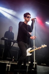 Golden Apes - Deutzen 2017