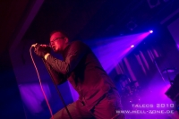 Amnistia - Zwickau 2010