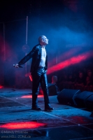 DAF - Mera Luna 2014 21
