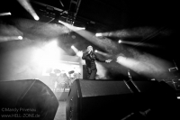DAF - Mera Luna 2014 27