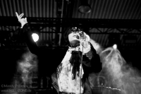 15. MERA LUNA Festival 2014
