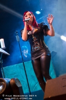 17. DARKSTORM FESTIVAL - Chemnitz 2013