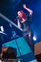 17. DARKSTORM FESTIVAL - Chemnitz 2013