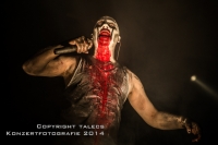 18. DARK STORM FESTIVAL - Chemnitz 2014