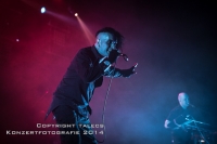 Project Pitchfork 11