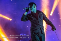 Project Pitchfork 2