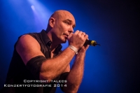 Rotersand 22