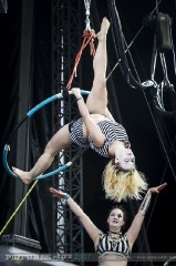 Circus Of Fools