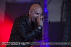 The Arch - Hildesheim 2017