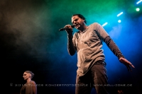 GOETHES ERBEN - Chemnitz 2015