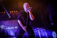Assemblage 23 - Dresden 2016