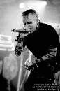 5. AMPHI FESTIVAL 2009 in Köln