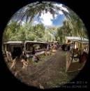 Impressionen 7