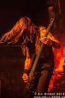 Amon Amarth 15