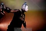 AMPHI FESTIVAL 2008 - COMBICHRIST