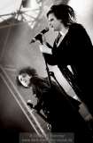 AMPHI FESTIVAL 2008 - LAme IMMORTELLE