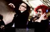 AMPHI FESTIVAL 2008 - LAme IMMORTELLE