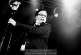 AMPHI FESTIVAL 2008 - LAme IMMORTELLE