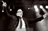 AMPHI FESTIVAL 2008 - LAme IMMORTELLE