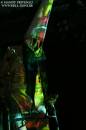 Skinny Puppy - Amphi 2010