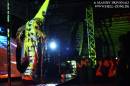 Skinny Puppy 17