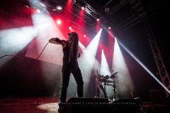 Wulfband