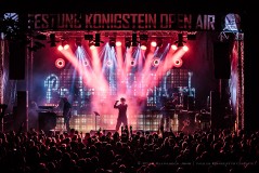 Project Pitchfork - Königstein 2017