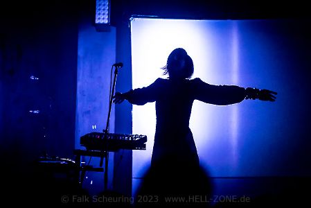 IAMX