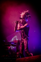 IAMX